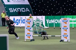 Blue Prints: Julie Bishop with Blue, Competing in the Small Championship Agility Final