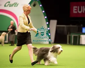 Junior Warrant Competition Final