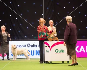 Junior Warrant Competition Final winner