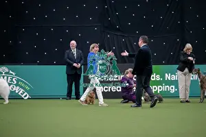 Junior Warrant Competition Final - winner