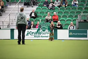 Focus Prints: Kate Bartrum and dog Rey- FCI Obedience Display