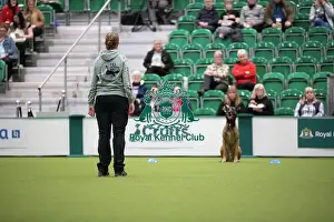 Focus Prints: Kate Bartrum and dog Rey- FCI Obedience Display