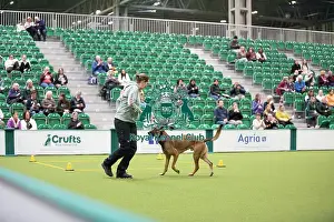 Focus Prints: Kate Bartrum and dog Rey- FCI Obedience Display