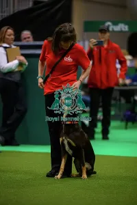 Katy Girdler from Wales, with Kelly