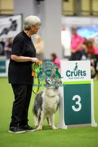 Third Place Prints: Katy and Lake, Third place in the Level 6 Inter-Regional Rally Competition today (05)