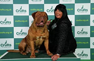 Official photos from Crufts 2023: Kay Strong from Bolton with Gloria, a Dogue de Bordeaux, which was the Best of Breed winner today