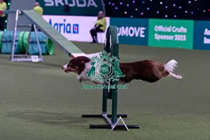 Second Place Prints: Kayleigh Hewitt & Cosmo (Ag. Ch)