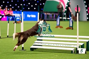 KC British Open