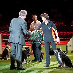 Main Arena Prints: KC British Open Agility Medium 2nd Jenny Lambert with Comebyanaway Reddy tp Tri