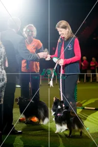 KC British Open Small winner Bernadette Bay with Ag Ch Obay Its Got Pizazz AW(G) KC British Open Small winner Bernadette Bay with Ag Ch Obay Its Got Pizazz AW(G)