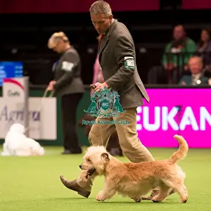 KC Vulnerable Breeds competition