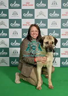 Crufts 2026 Best Of Breed Prints: Kelly Stewart from Law Village