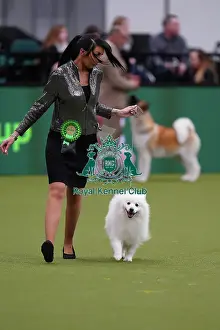 Arena Prints: Kennedy Aston from Telford, with Romeo