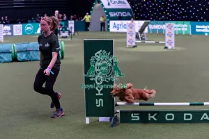 Small Championship Agility Final Prints: Kim Holness with Fern, Competing in the Small Championship Agility Final