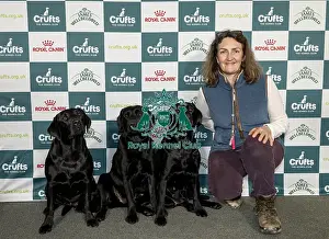 Retriever Labrador Prints: Kira Leith-Ross, from Stainton Village