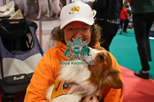 Kooikerhondje Prints: Kooikerhondje with owner at Discover Dogs