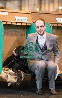 Labrador competitior