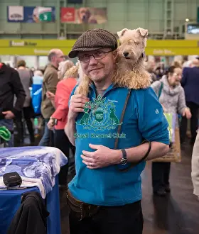 Lakeland terrier with handler