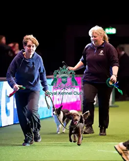 Crufts 2016 Prints: lap of honour small winners KC Novice Cup