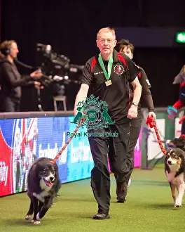 Crufts 2016 Prints: Large teams agility final - winner