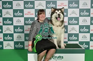 Crufts 2026 Best Of Breed Prints: Lauren Perfitt from Huddersfield