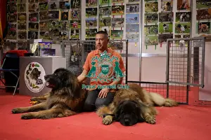 Leonberger Prints: Leonberger at Discover Dogs