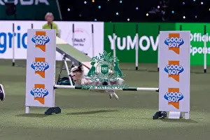 Medium Championship Agility Final Prints: Lily Dakin with Scout, Competing in the Medium Championship Agility Final