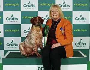 Official photos from Crufts 2023: Linda Graham from Cumbria with Kion, a Brittany, which was the Best of Breed winner today