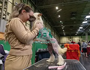 Chinese Crested Prints: Linda Kracikova from Czech Republic with Grim