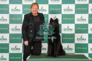 Belgian Shepherd Dog Groenendael Prints: Linda Lester from Cheltenham with Envy
