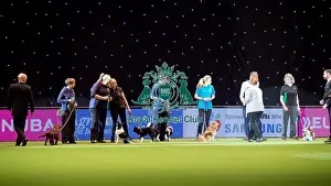 Crufts 2016 Prints: line up KC Novice Cup