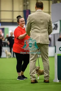Crufts 2026 Rally Prints: Lisa with Murphy, Winner of the Level 2 Inter-Regional Rally Competition today (05)