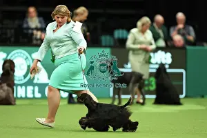 Action Shot Prints: Lisa Nelson from Lancashire with Felicia