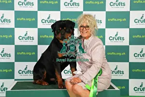 Rottweiler Prints: Liz Dunhill from Clumber Park with Dutch