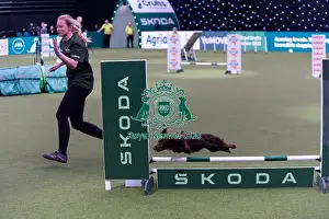 Small Championship Agility Final Prints: Liz Naylor with Skye, Competing in the Small Championship Agility Final