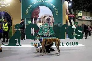 Crufts 2025 General Photography Prints: Local schoolchildren take part in bark and read