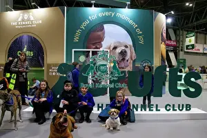Crufts 2025 General Photography Prints: Local schoolchildren take part in bark and read
