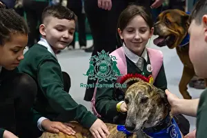 Bark And Read Prints: Local schoolchildren take part in bark and read