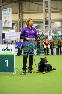 Crufts 2026 Rally Prints: Lucia with Lexi, Winner of the Level 4 Inter-Regional Rally Competition today (05)