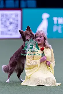 Heelwork To Music Competition Prints: Lucy Heath with Stillmoor Star Turn