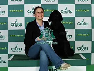 Retriever Flat Coated Prints: Ludovica Soresina from Italy with Chilkoot