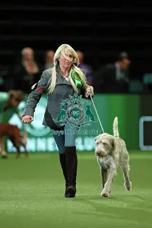 Action Shot Prints: Lynda Adams, from Warwick with Jakob