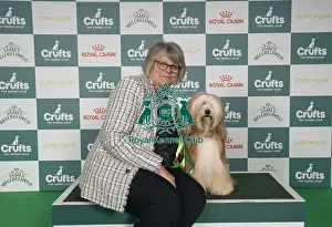 Tibetan Terrier Prints: Lynne Bateman from Daventry with Monica