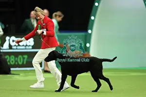 Maggie Stephens from Cynghordy with Tarzan, a Curly coated Retriever, which was the Best of Breed winner today (Thursday 09. 03. 23), the first day of Crufts 2023, at the NEC Birmingham