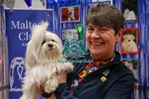 Crufts 2025 Discover Dogs Prints: Maltese with owner at Discover Dogs