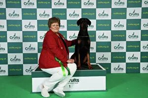 Official photos from Crufts 2023: Mandy Everley from West Sussex with Archie, a Doberman, which was the Best of Breed winner today