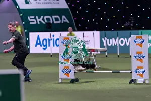 Small Championship Agility Final Prints: Marc Wingate-Wynne with Snazzy