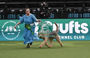 Otterhound Prints: Maria Lerego, from Hereford, with Leon