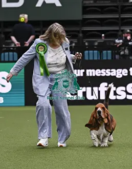 Basset Hound Prints: Marita Rodgerrs, from Newark, with Bazooka