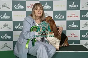 Basset Hound Prints: Marita Rodgerrs, from Newark, with Bazooka